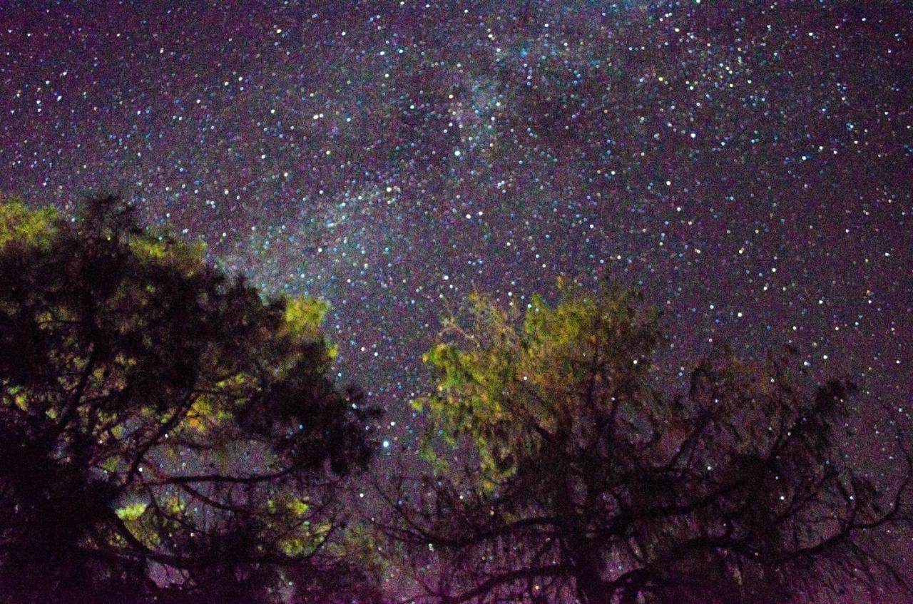 Cabanas Los Portales Barrancas Del Cobre Areponapuchi Dış mekan fotoğraf